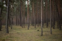 https://www.imd.tu-bs.de/files/gimgs/th-132_132_michendorf-58-von-1.jpg